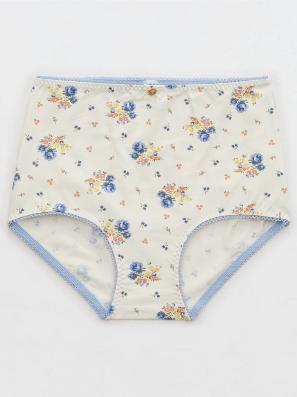 NWT Aerie Retro High Rise Panty
